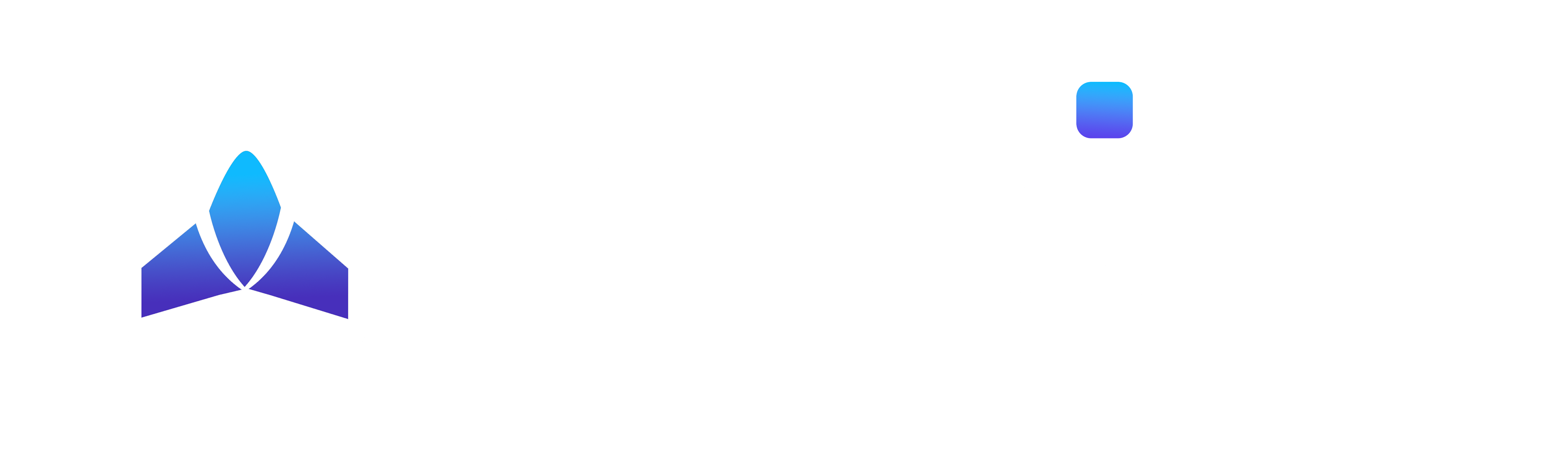 Omojet Logo